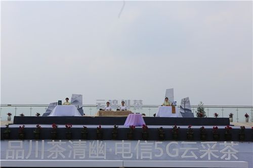 四川雅安加快5G新技術轉型升級，助力四川數字經濟發展